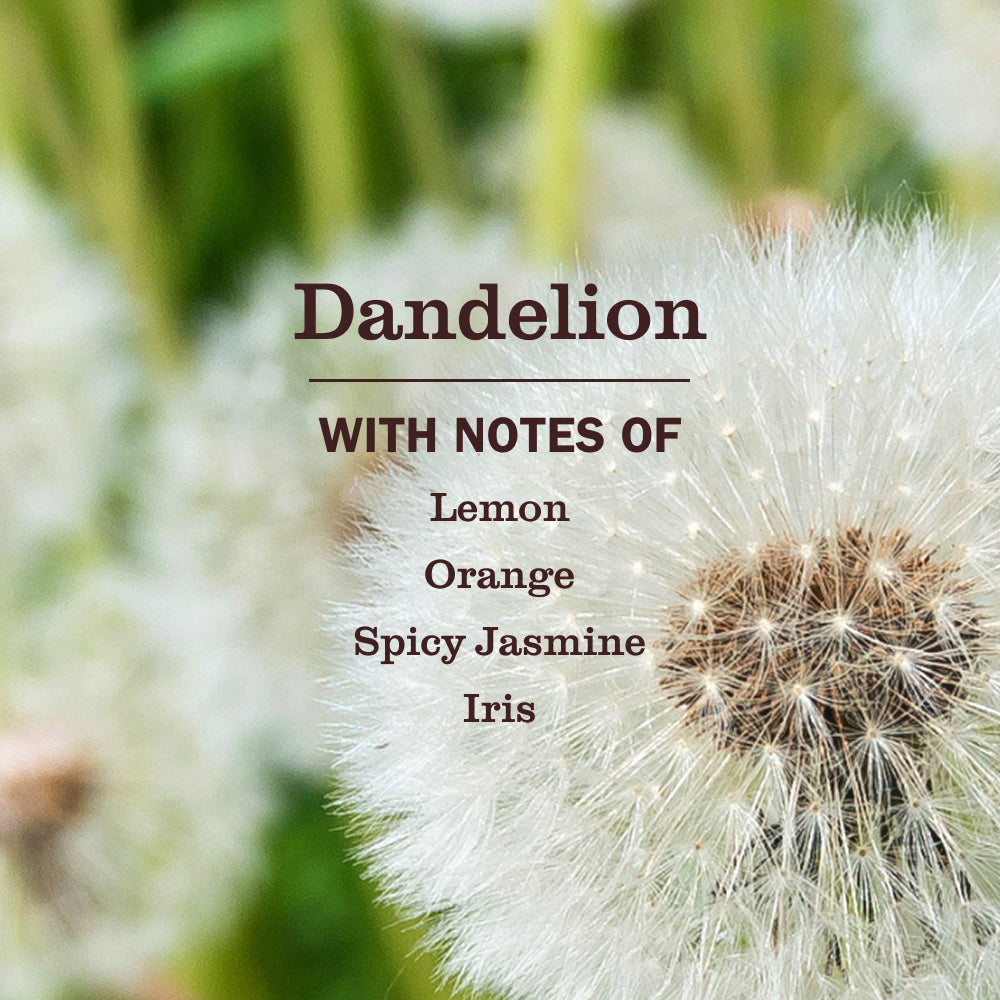 Mrs. Meyer's Dandelion Liquid Dish Soap