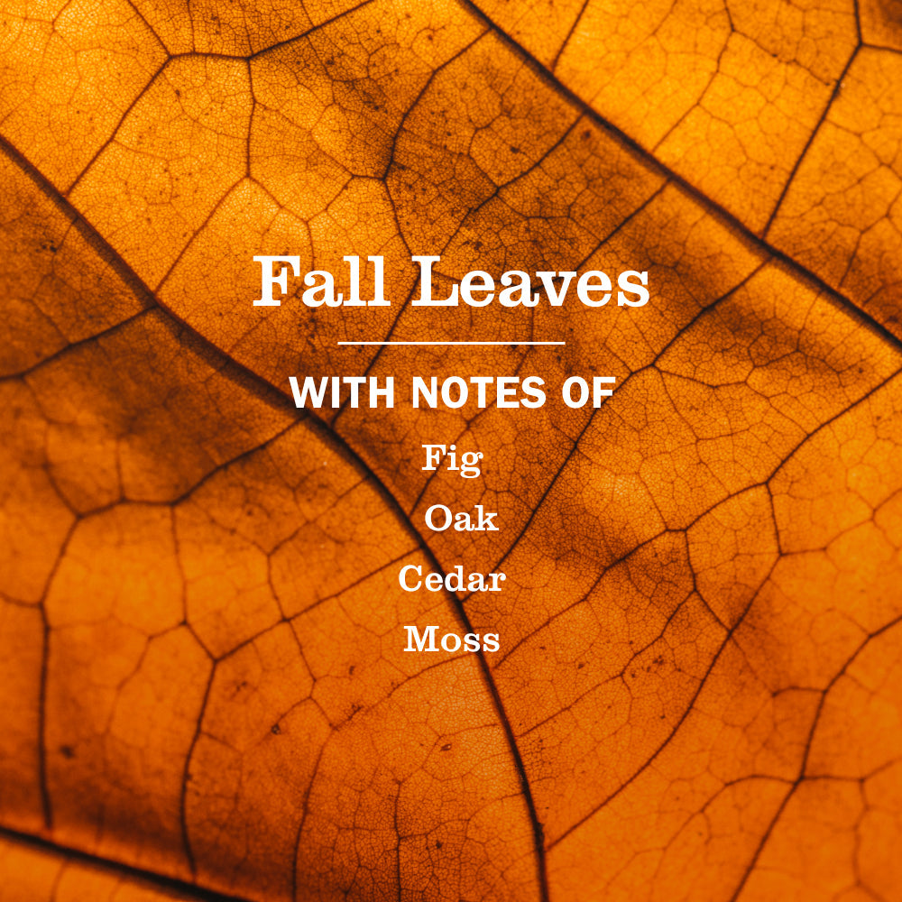 Mrs. Meyer's Fall Leaves Garden-Scented Liquid Hand Soap