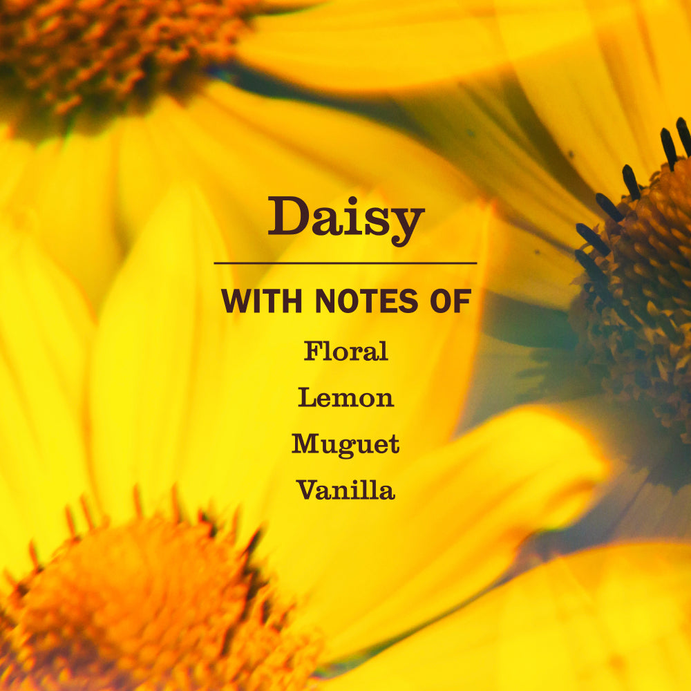 Mrs. Meyer's Daisy Essential Kitchen Cleaning Set