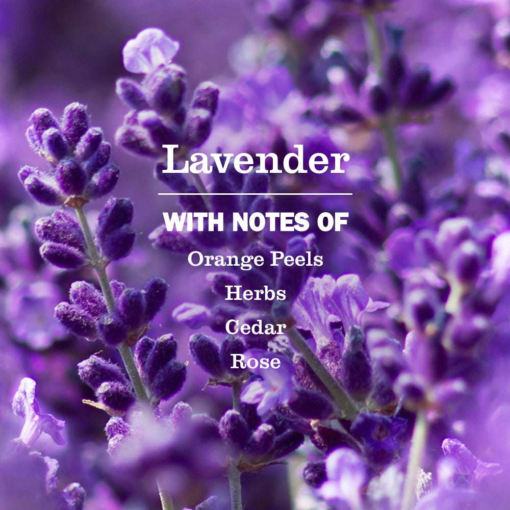 Mrs. Meyer's Lavender Refill for Liquid Dish Soap