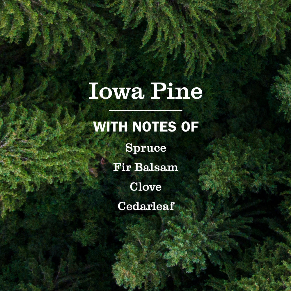 Mrs. Meyer's Iowa Pine Liquid Hand Soap and Refill Set