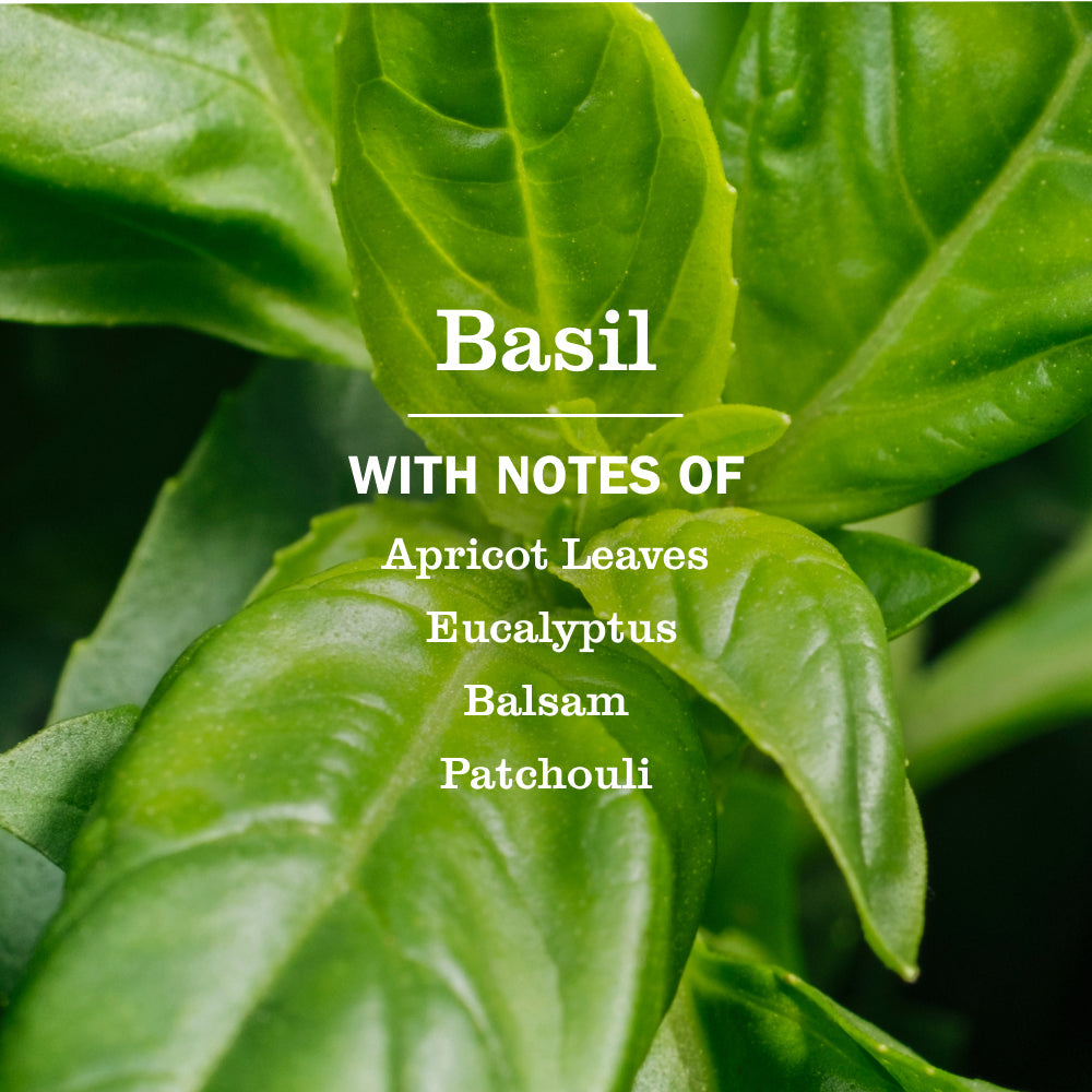 Mrs. Meyer's Basil Refill for Liquid Dish Soap