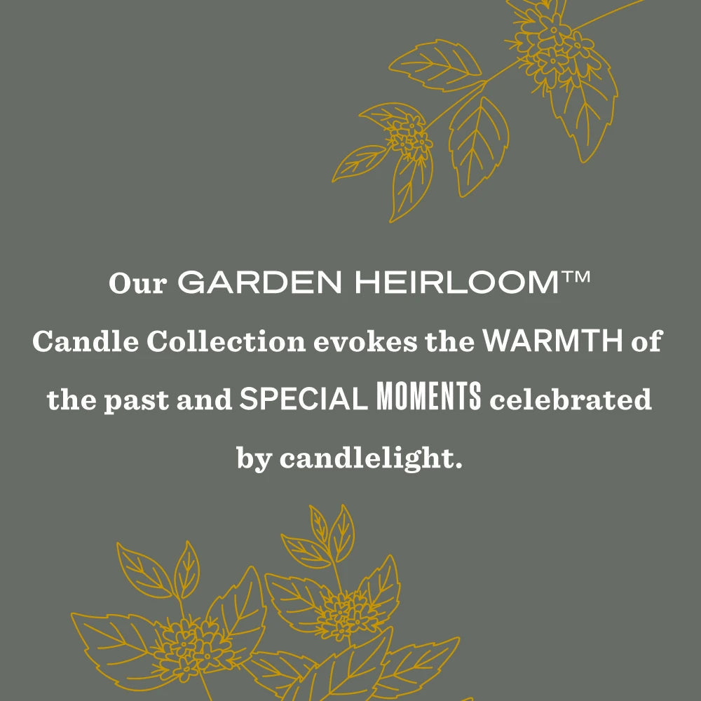 Mrs. Meyer's Wild Mint Heirloom Garden-Scented Candle