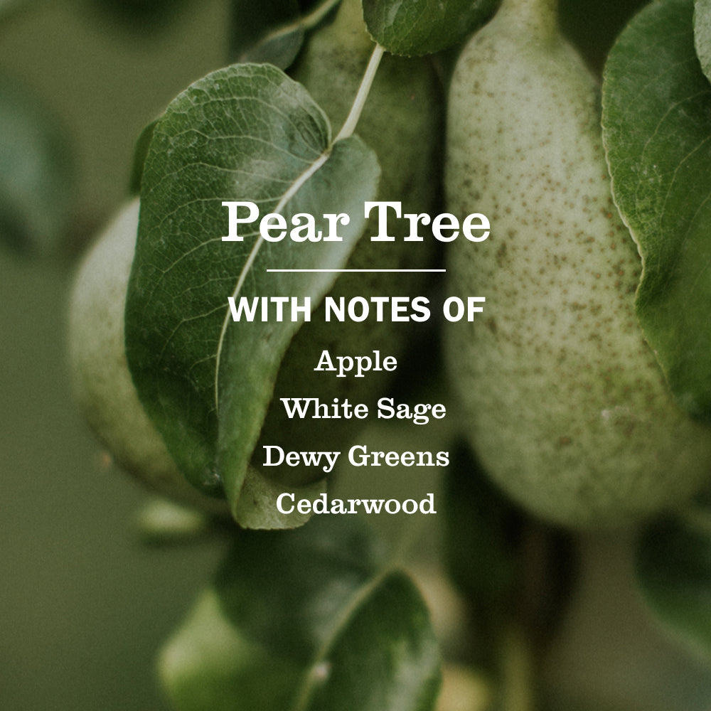 Mrs. Meyer's Pear Tree Garden-Inspired Room Freshener