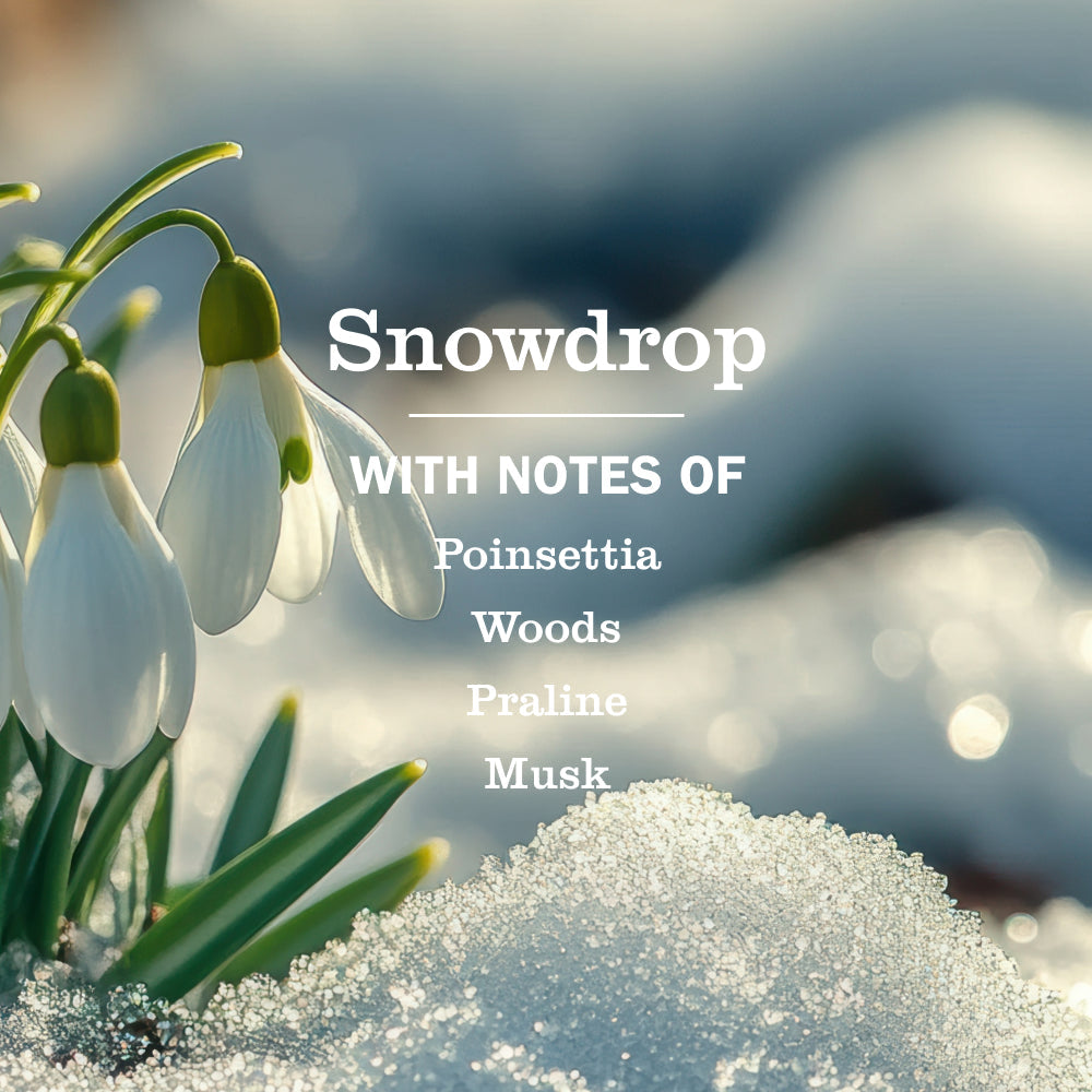 Mrs. Meyer's Snowdrop Everyday Multi-Surface Cleaning Spray