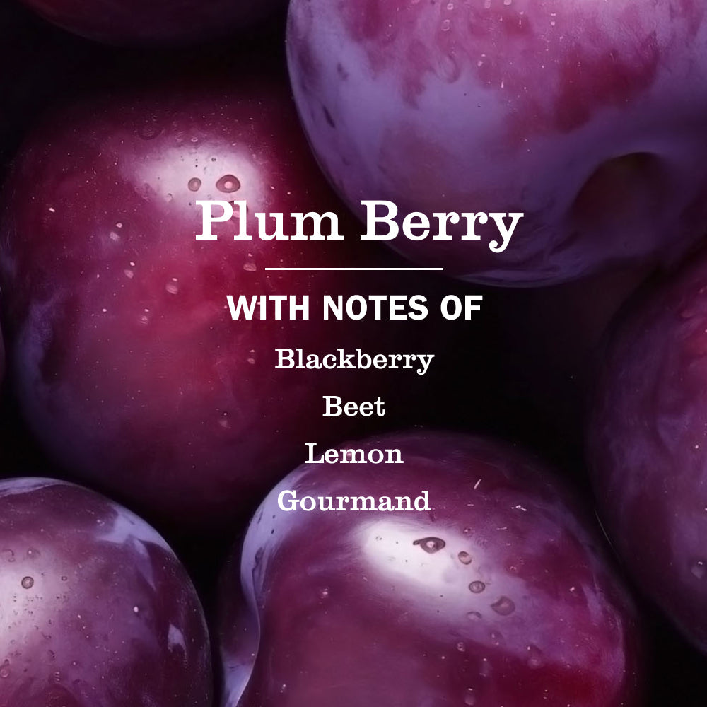 Mrs. Meyer's Plum Berry Refill for Liquid Hand Soap