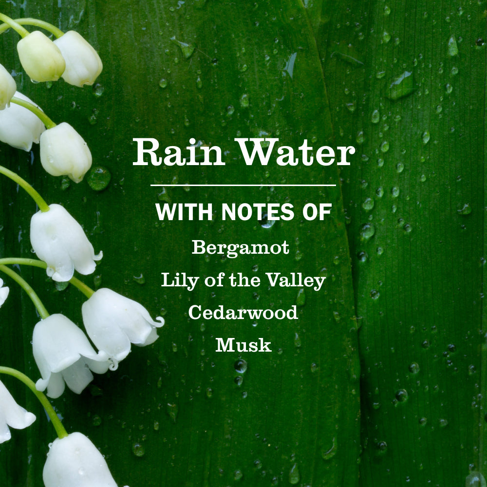 Mrs. Meyer's Rain Water Refill for Liquid Hand Soap