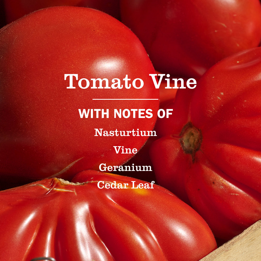 Mrs. Meyer's Tomato Vine Essential Kitchen Cleaning Set